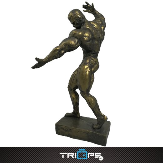 Bodybuilding Figur 60cm - Kevin Levrone