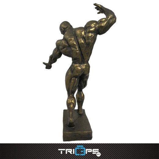 Bodybuilding Figur 60cm - Kevin Levrone