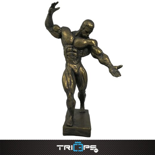 Bodybuilding Figur 60cm - Kevin Levrone