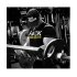 Dedicated Nutrition T-Shirt "F#ck Shortcuts"