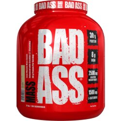 BAD ASS Mass 3kg