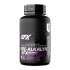 EFX Sports Kre-Alkalyn 120 caps