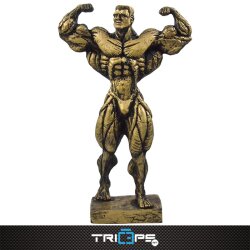 Bodybuilding Figur 40cm - Dreambody